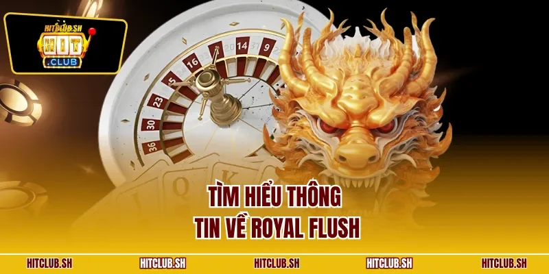Tìm hiểu thông tin về Royal Flush