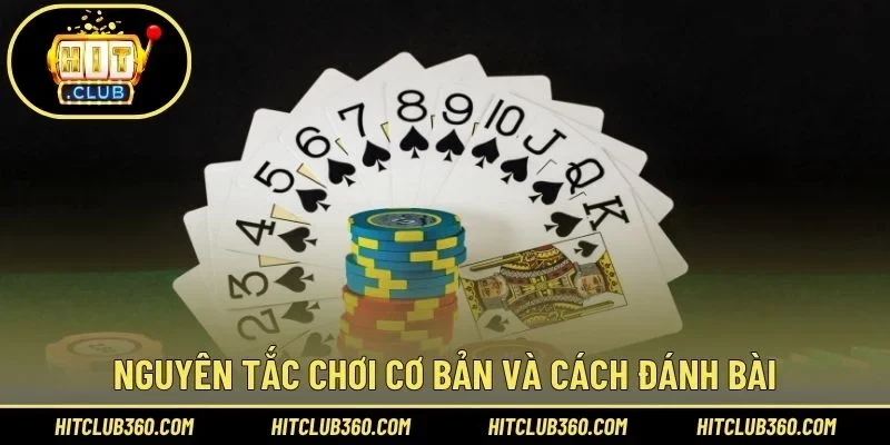 Nguyên tắc chơi cơ bản và cách đánh bài