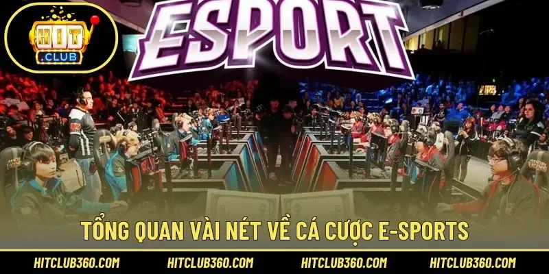 Đôi nét về cá cược E-sports